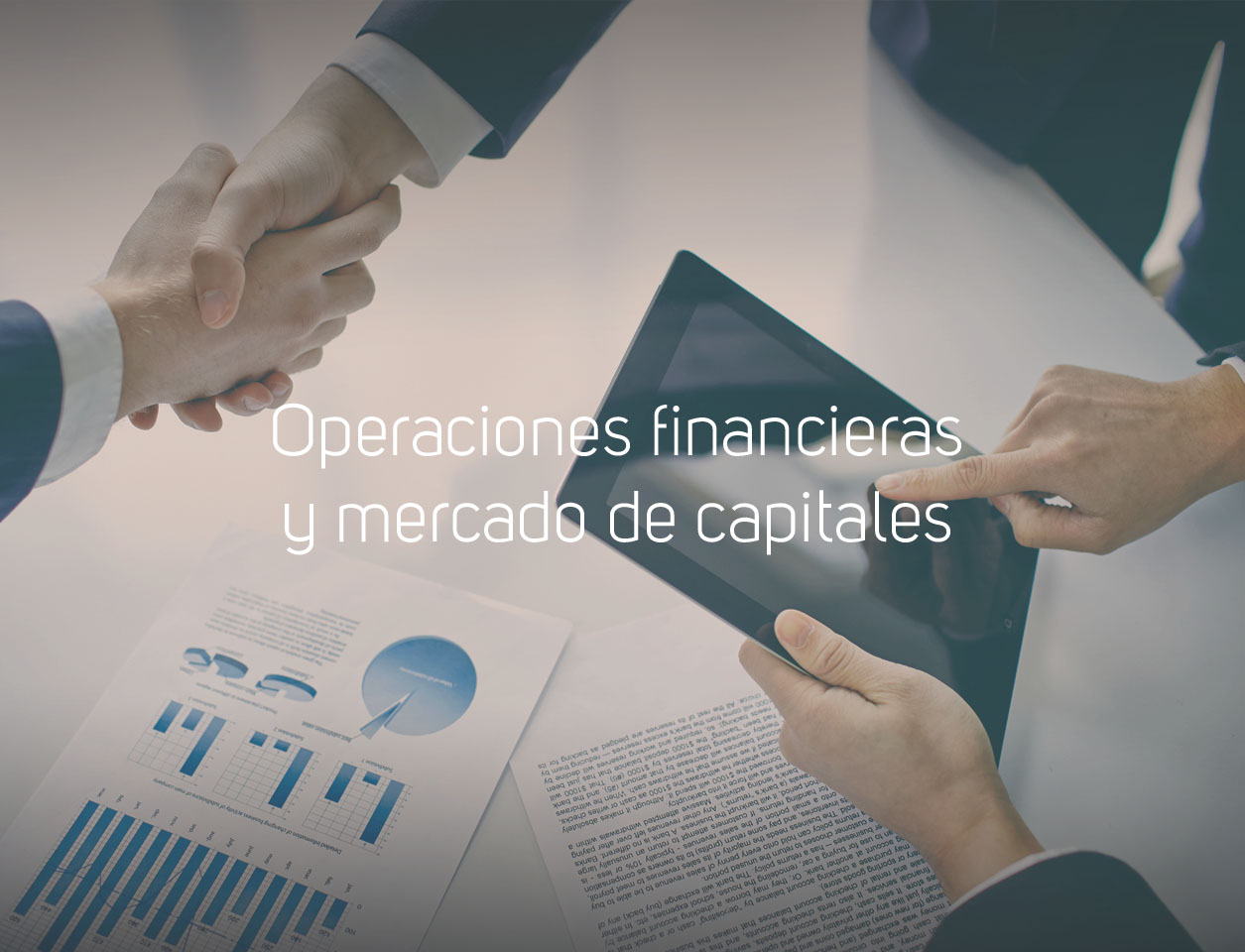 Pampa Corporation Finance and capital markets execution